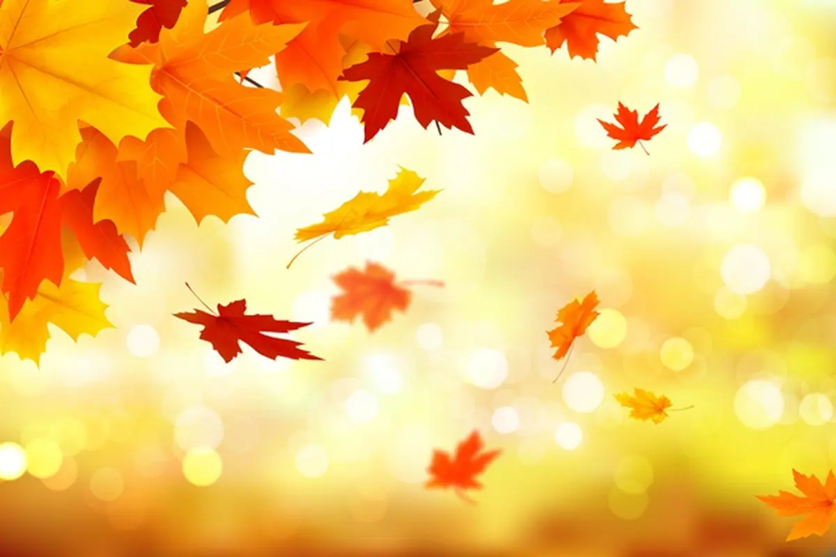 Foire d'automne-brocante