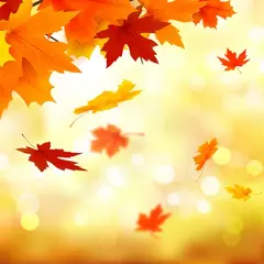 Foire d'automne-brocante