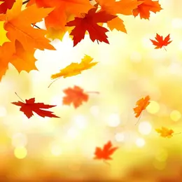 Foire d'automne-brocante