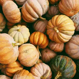Foire d'automne  de Beaulieu-sur-Dordogne