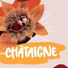 Foire De La Châtaigne