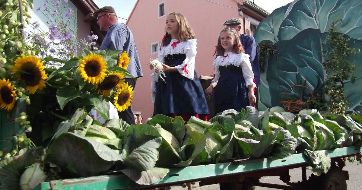 Fete De La Choucroute Brienne Le Chateau 2022