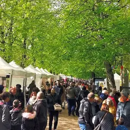 Foire de la Saint-Parfait à Montereau 2027