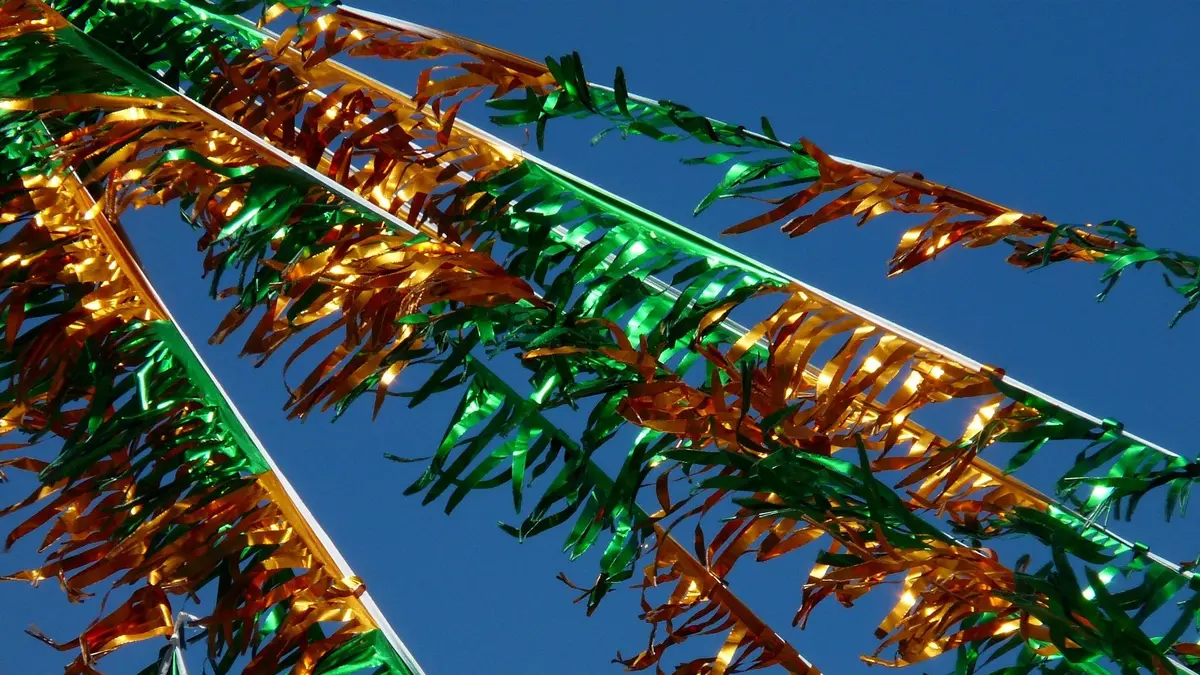 Foire De Lyon - Entree 1 Jour - Valable Pour Une Personne