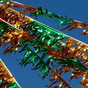 Foire De Lyon - Entree 1 Jour - Valable Pour Une Personne