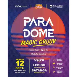 Foire de Pau: Paradome Magic Gruuv