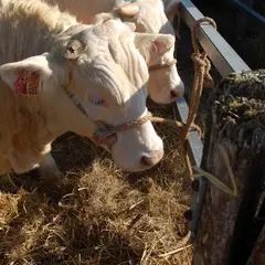 Foire de Poussay 2026