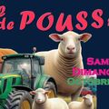 [Coup de ❤️] Foire de Poussay 2026