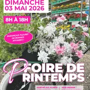 Foire de printemps