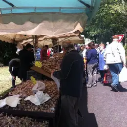 Foire de Roches