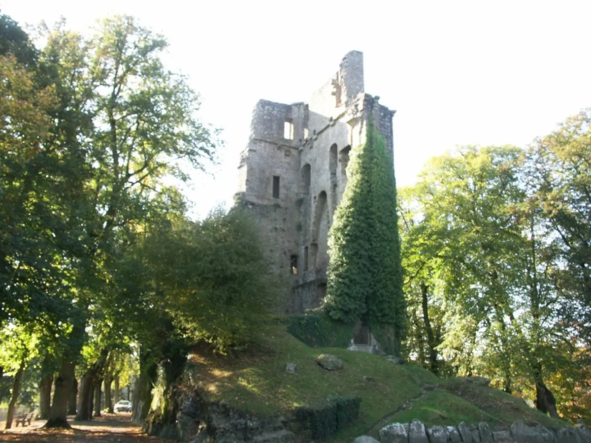 Foire des Rogations : Braderie vide-grenier à Vire Normandie