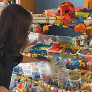 Foire du livre 2025: Exposition Cache cache carotte (Médiathèque du centre-ville)