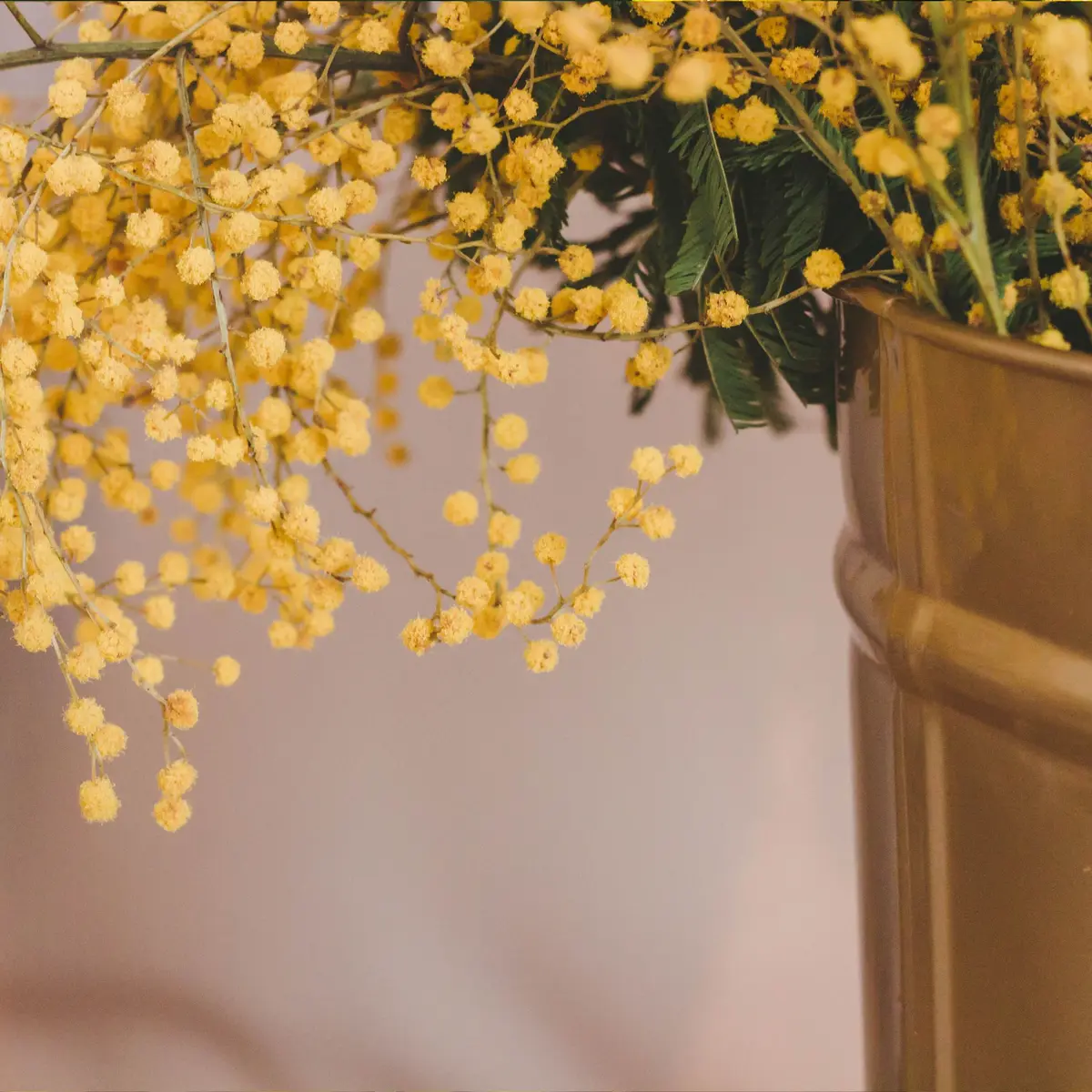 Foire Grasse de Lunéville