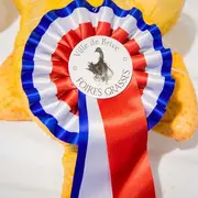 Foire grasse primée oies et canards