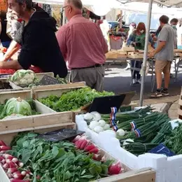 Foire Mensuelle à Réquista