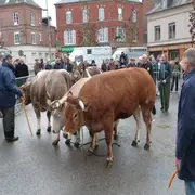 Foire Saint André de Livarot - Concours d'animaux de viande et dégustation de tripes avec frites