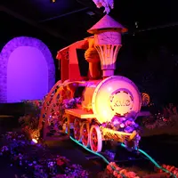 La voie des fleurs avec ce train fleuri DR