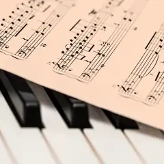 Folle séance de musique