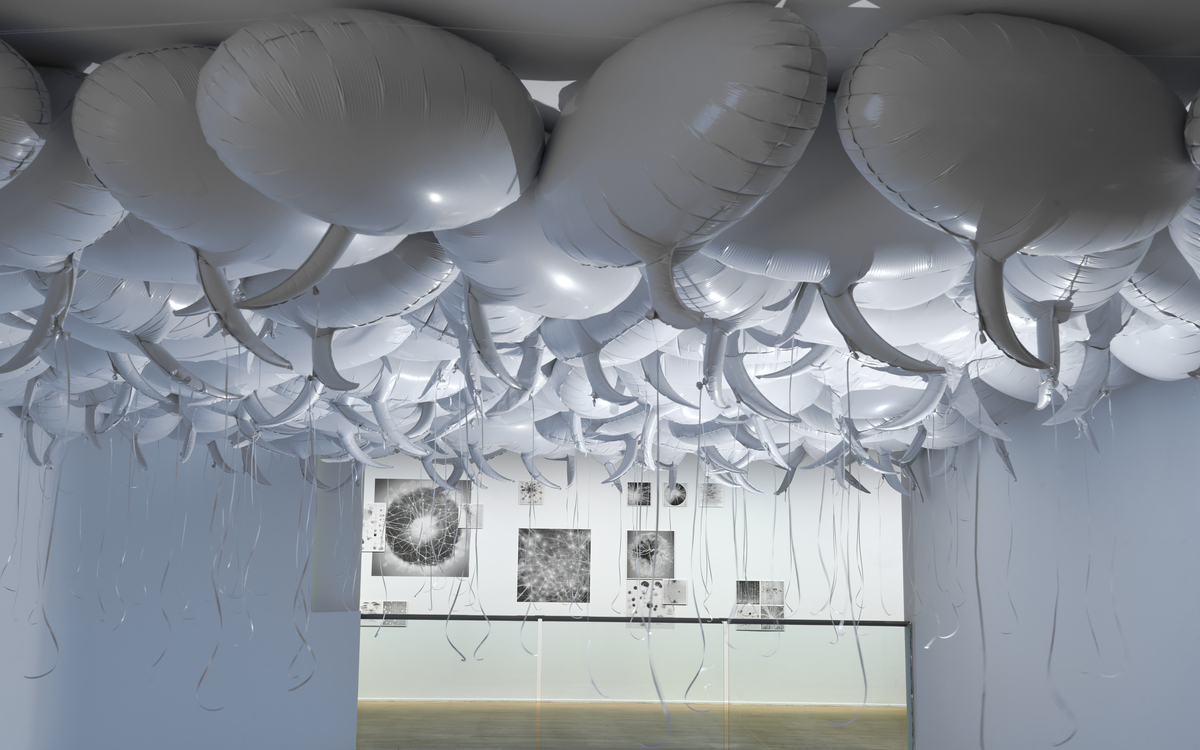 34.JPG Philippe Parreno, Speech Bubbles 1997 Courtesy de l'artiste Collection Frac Grand Large – Hauts-de-France ©Marc Domage  Béatrice Lartigue,  Wood Wide Web 2023 Courtesy de l'artiste  ©Marc Domage