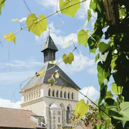 Fontaines de guérison et légendes du Pays de Born