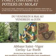 Forêt, château et potiers du Molay