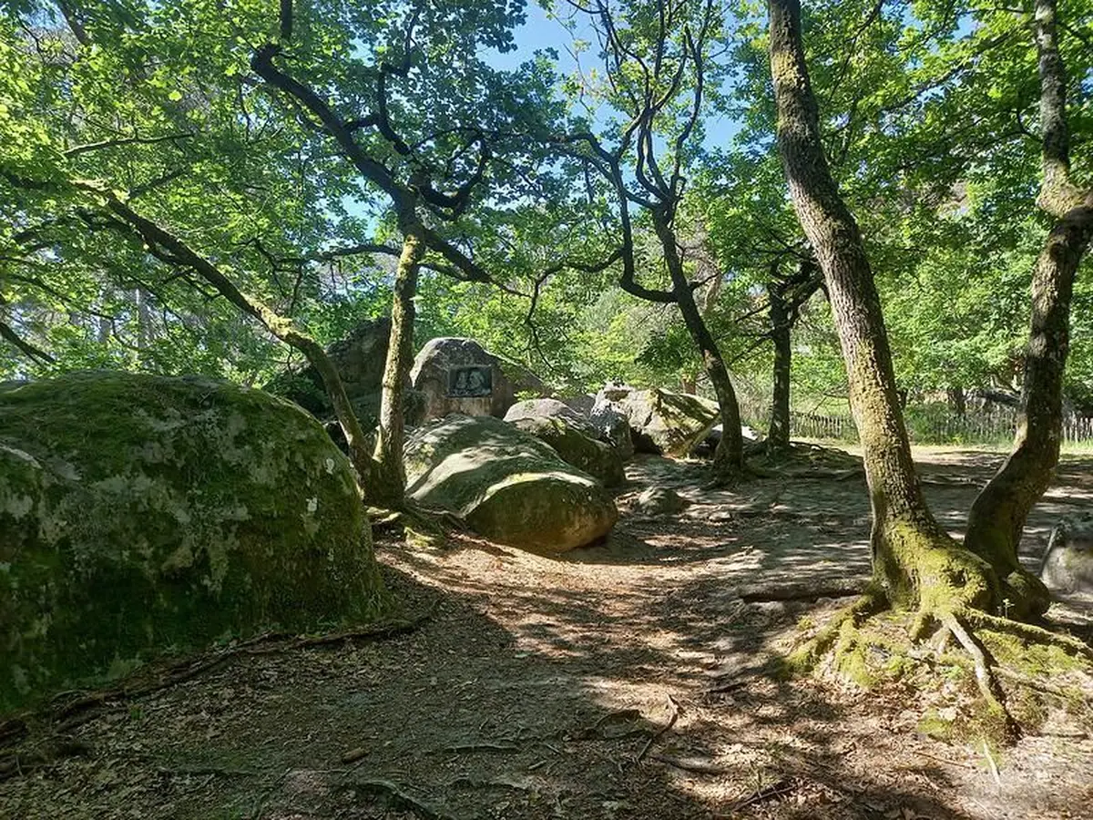 Forêt de Fontainebleau : votre terrain d'aventures et d'activités aux portes de Paris