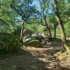 Forêt de Fontainebleau : votre terrain d'aventures et d'activités aux portes de Paris