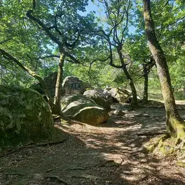 Forêt de Fontainebleau : votre terrain d'aventures et d'activités aux portes de Paris