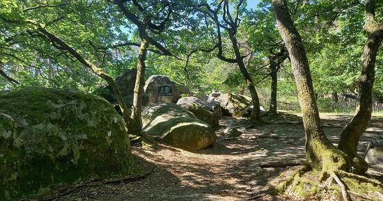 For&ecirc;t de Fontainebleau : votre terrain d'aventures et d'activit&eacute;s aux portes de Paris