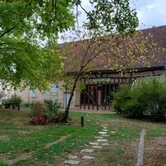 Forêt nourricière d'automne