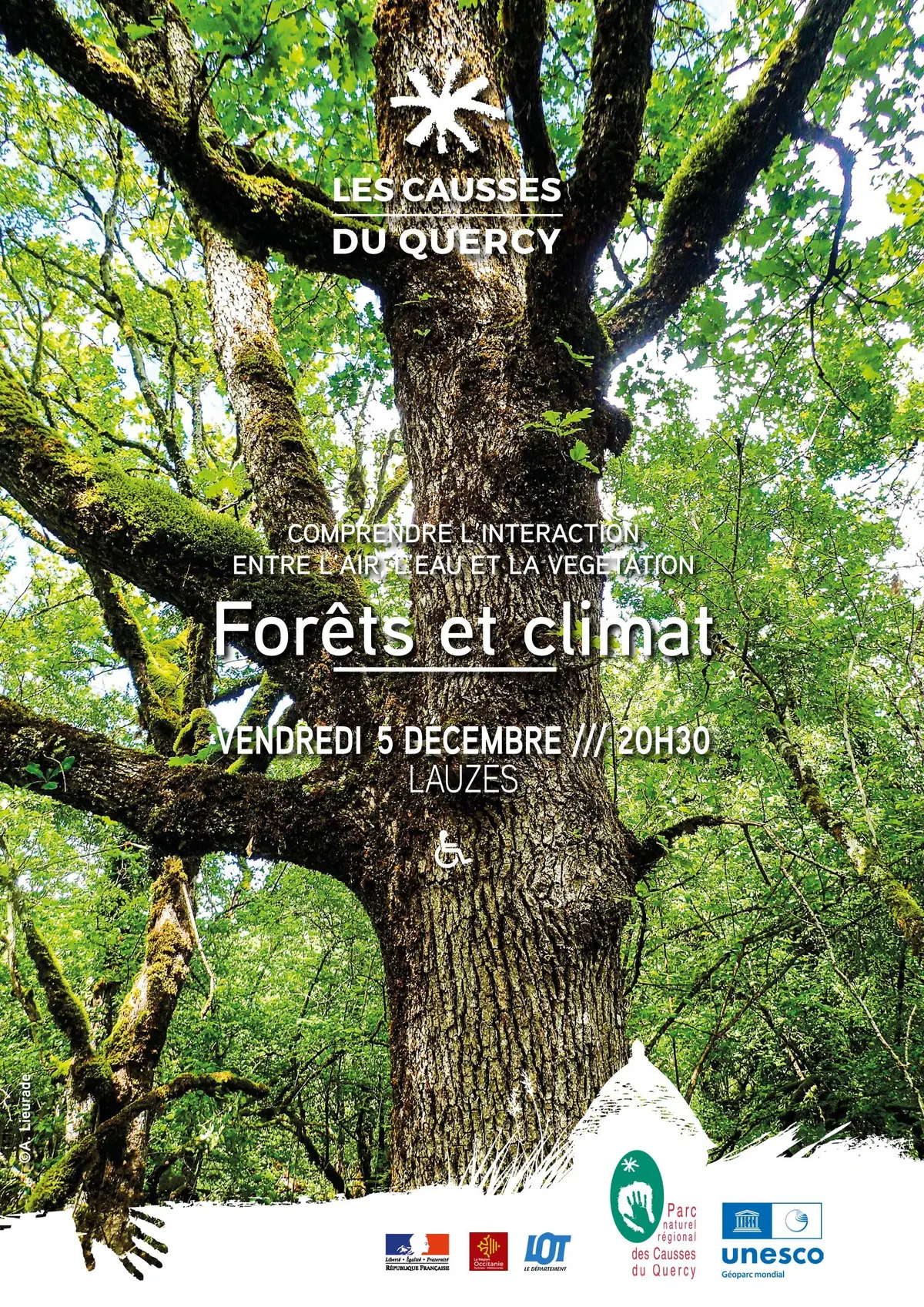 Forets et climat : comprendre l'interaction entre l'air, l'eau et la végétation