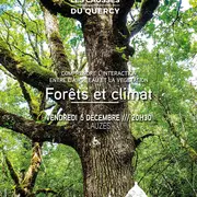 Forets et climat : comprendre l'interaction entre l'air, l'eau et la végétation