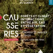 Forêts et climat : Interactions entre air, eau et végétation