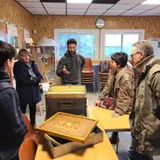 Formation apiculture