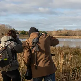 Formation aux oiseaux du littoral : les laridés et oiseaux côtiers