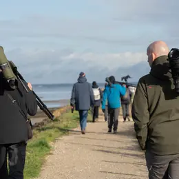 Formation aux oiseaux du littoral : les limicoles, le temps de l'hiver