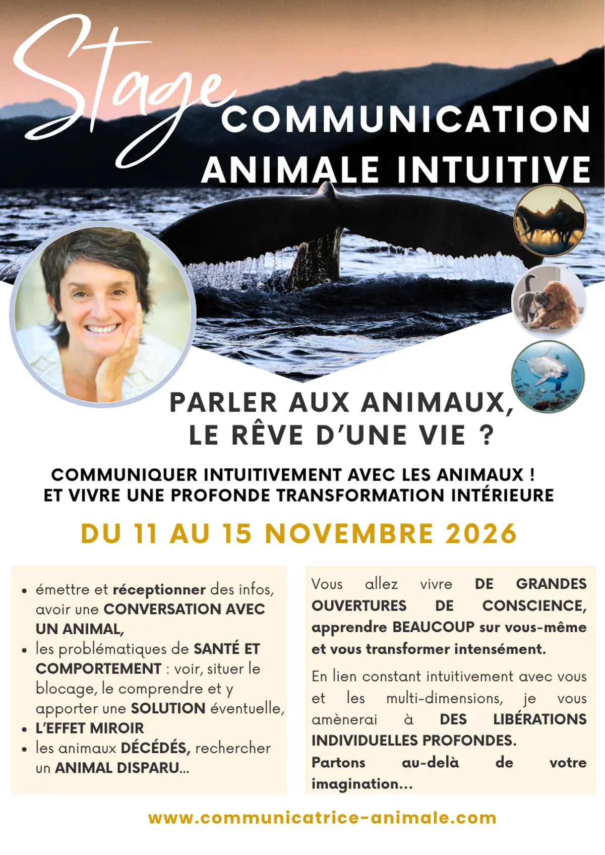 Formation en communication animale intuitive et transformation intérieure
