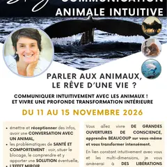 Formation en communication animale intuitive et transformation intérieure