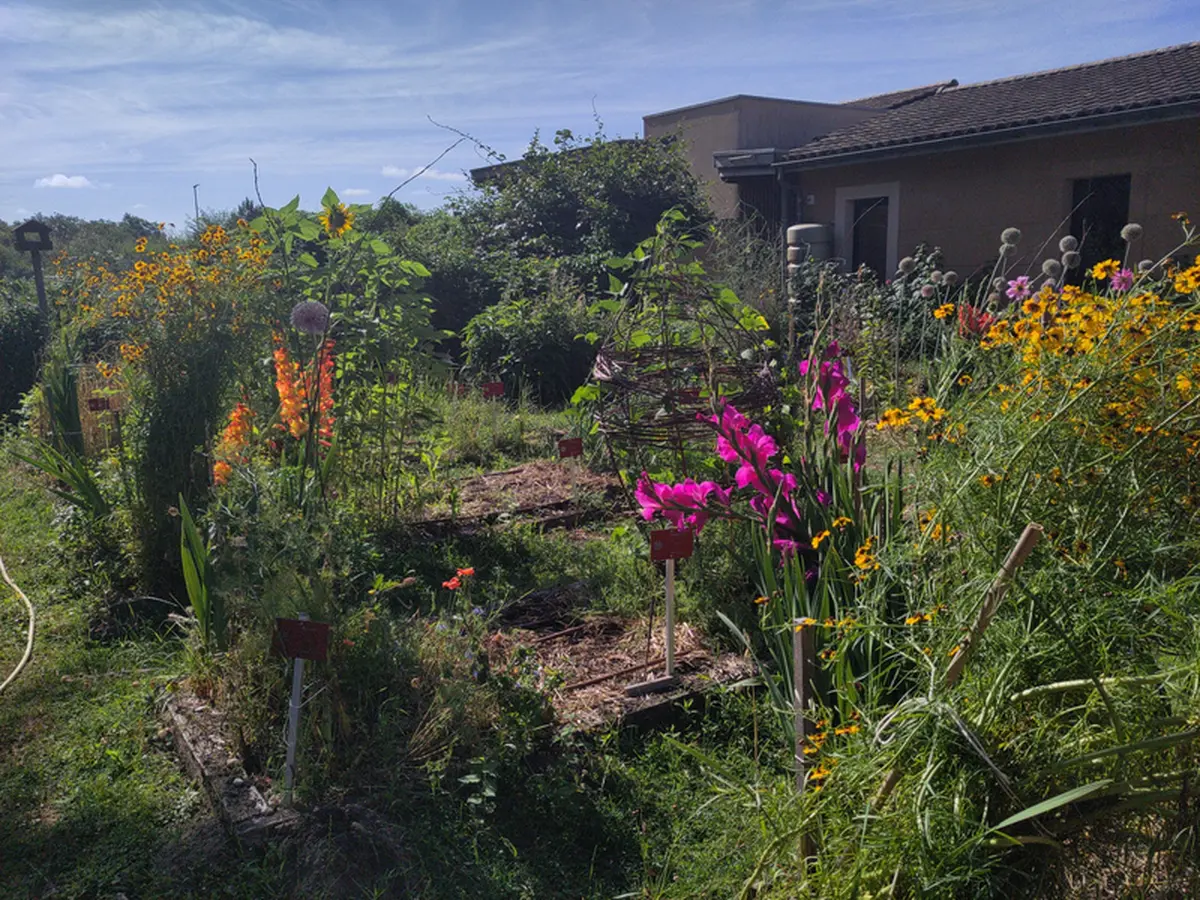 Formation jardin potager
