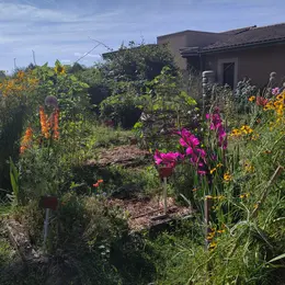 Formation jardin potager
