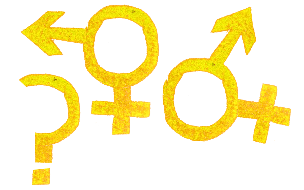 Formation Le genre en question : approche interculturelle