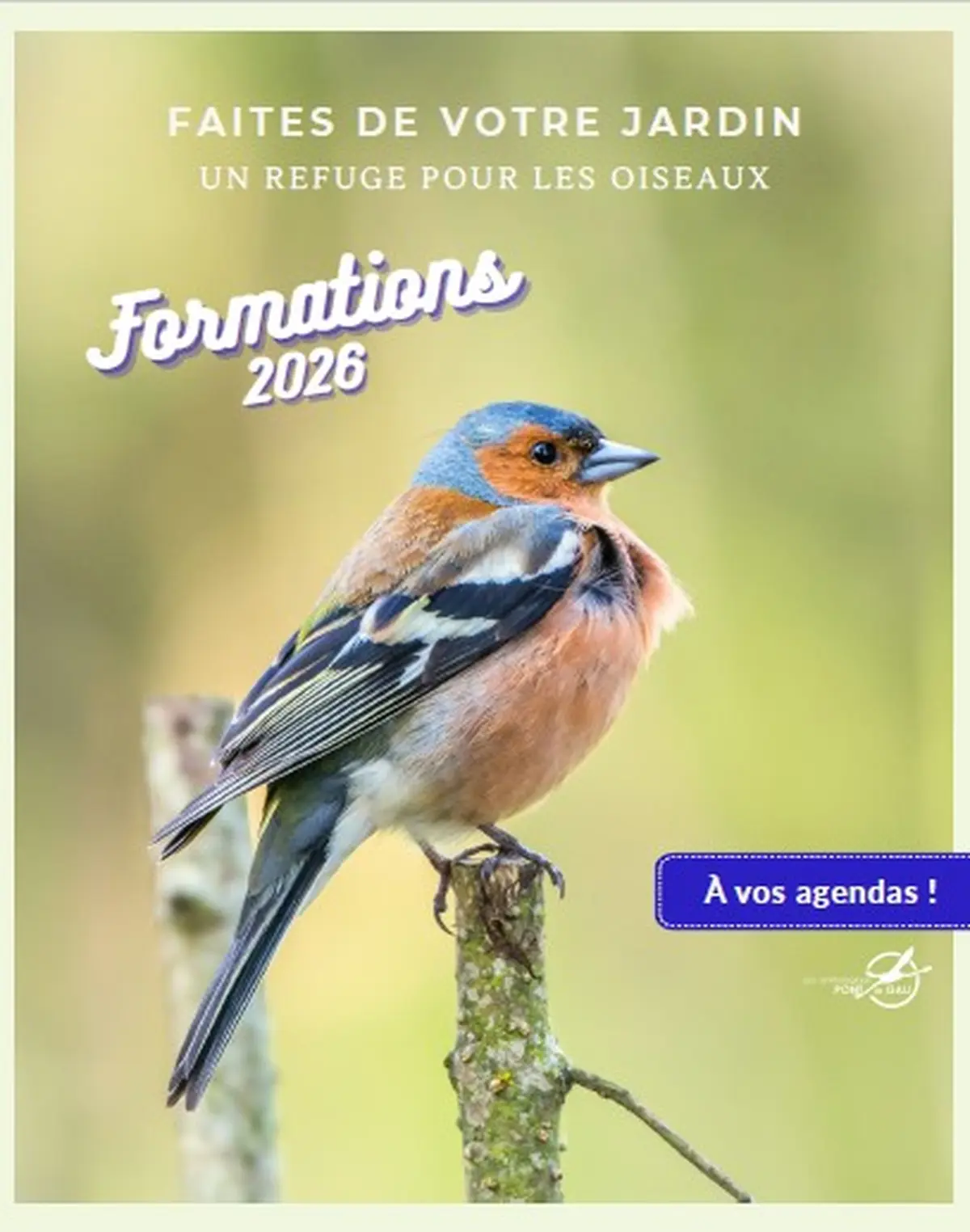 Formation Oiseaux des Jardins