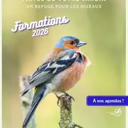 Formation Oiseaux des Jardins