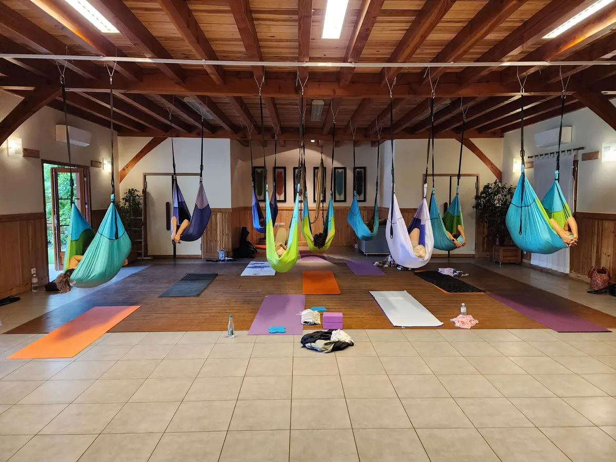Formation Yoga Aerien