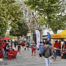Forum des associations