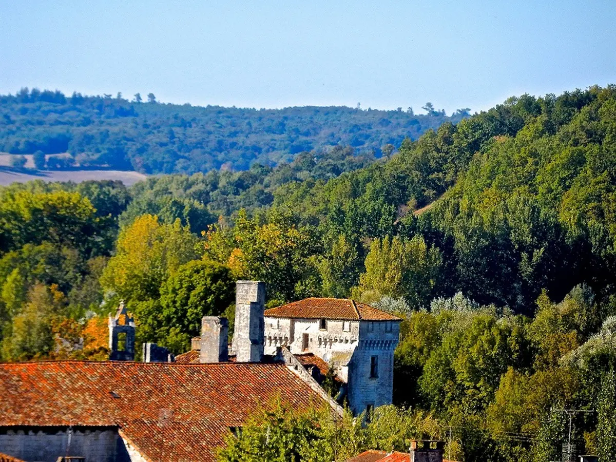 Forum des associations