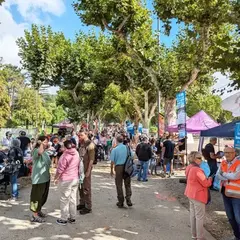 Forum des associations