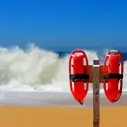 Forum Des idées pour ton été