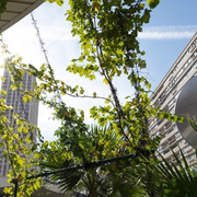 Forum Habiter Durable : voici le programme