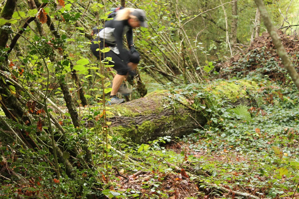 Foulées du Pays Sostranien